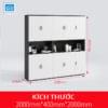 Tủ hồ sơ văn phòng đơn giản màu trắng đen kích thước 200x200x40cm