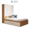 Giường Ngủ Thông Minh Kèm Tủ Quần Áo Gỗ Hiện Đại Nhiều Ngăn SIB Decor GN43